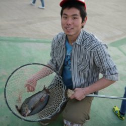 としまえんフィッシングエリア 釣果