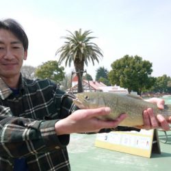 としまえんフィッシングエリア 釣果