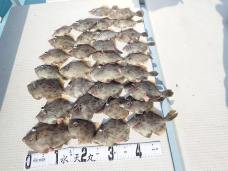 水天丸 釣果