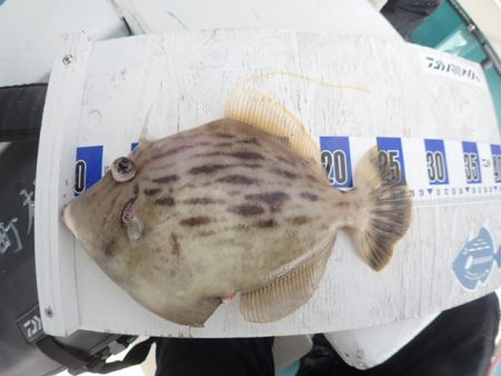 水天丸 釣果