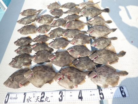 水天丸 釣果