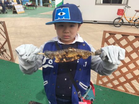 としまえんフィッシングエリア 釣果