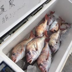 金栄丸 釣果