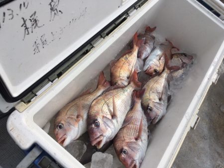 金栄丸 釣果