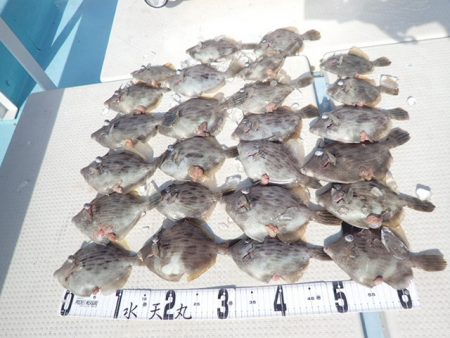 水天丸 釣果