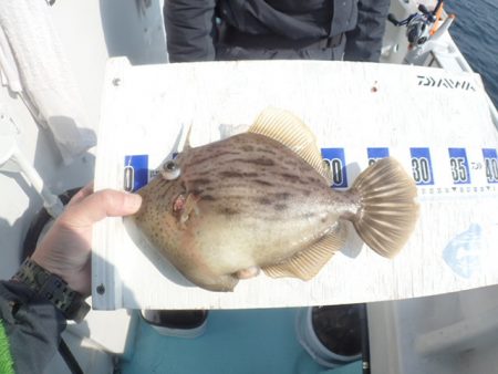 水天丸 釣果