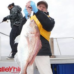 ブルースフィッシングサービス 釣果