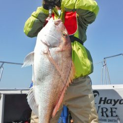 ブルースフィッシングサービス 釣果