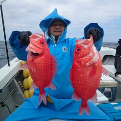 エンペラー 釣果