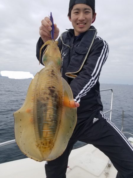 ソルトウォーターガイドフレンズ 釣果