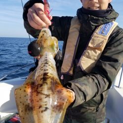 ソルトウォーターガイドフレンズ 釣果