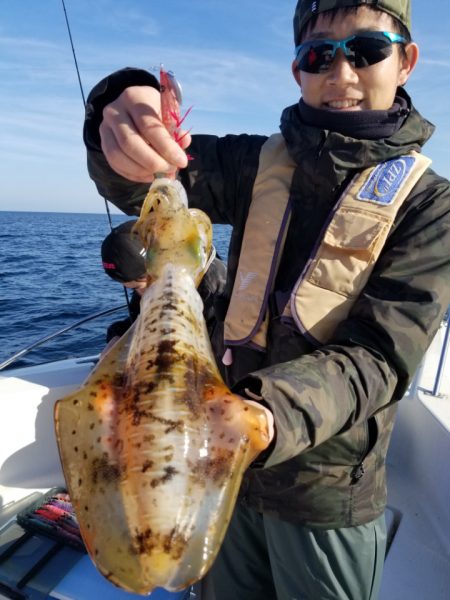 ソルトウォーターガイドフレンズ 釣果