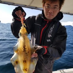 ソルトウォーターガイドフレンズ 釣果