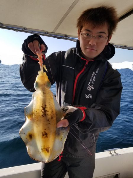 ソルトウォーターガイドフレンズ 釣果