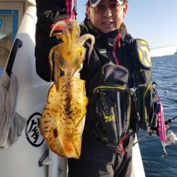 ソルトウォーターガイドフレンズ 釣果