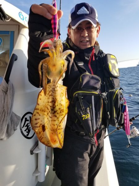 ソルトウォーターガイドフレンズ 釣果