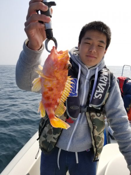 ソルトウォーターガイドフレンズ 釣果