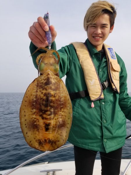 ソルトウォーターガイドフレンズ 釣果