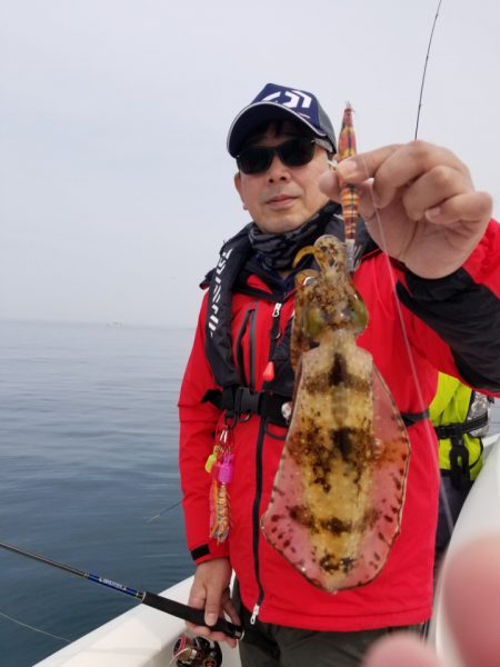 ソルトウォーターガイドフレンズ 釣果