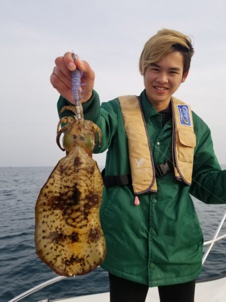 ソルトウォーターガイドフレンズ 釣果