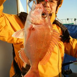 新幸丸 釣果