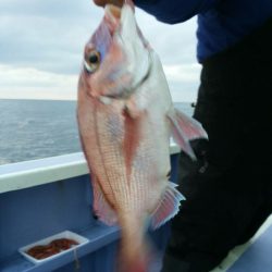 新幸丸 釣果
