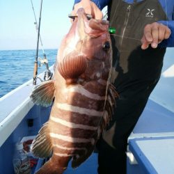 新幸丸 釣果