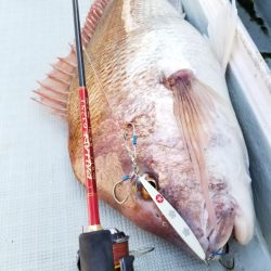 アマテラス 釣果