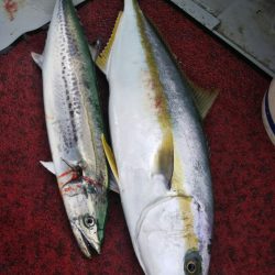 光生丸 釣果
