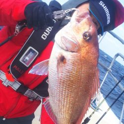 ブルドック 釣果