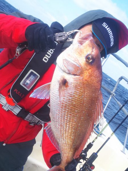 ブルドック 釣果