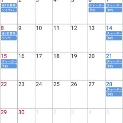 遊漁船 家入 釣果