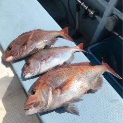 第二八坂丸 釣果