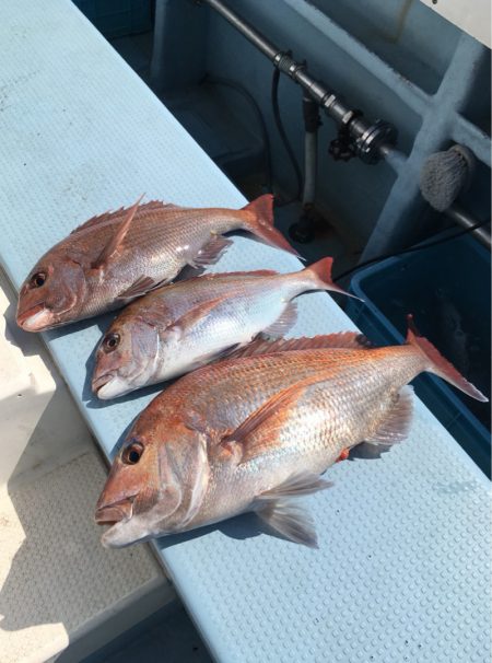 第二八坂丸 釣果