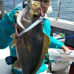 光生丸 釣果