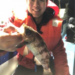 ヤザワ渡船 釣果