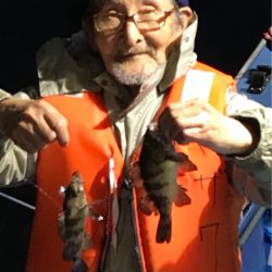 ヤザワ渡船 釣果