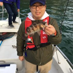 末広丸(熊本) 釣果