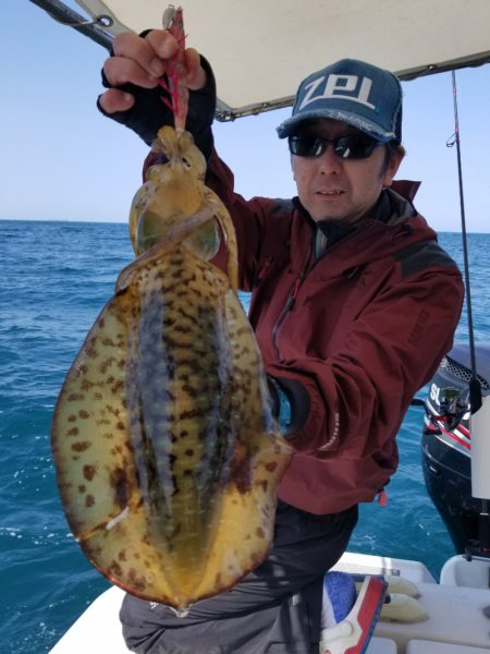 ソルトウォーターガイドフレンズ 釣果