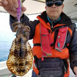 ソルトウォーターガイドフレンズ 釣果