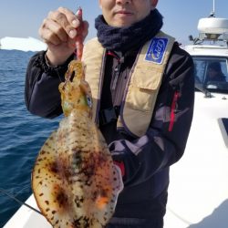 ソルトウォーターガイドフレンズ 釣果