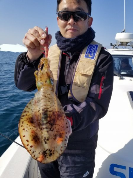 ソルトウォーターガイドフレンズ 釣果