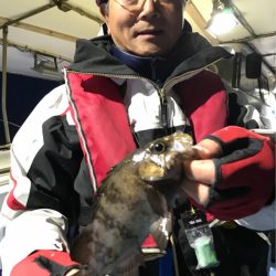 ヤザワ渡船 釣果