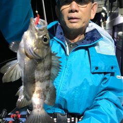 ヤザワ渡船 釣果