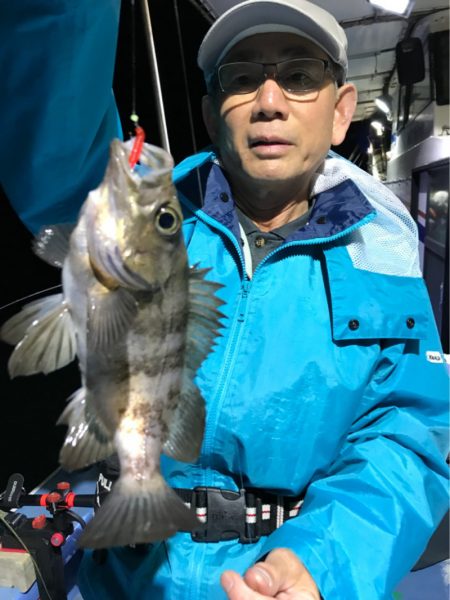 ヤザワ渡船 釣果