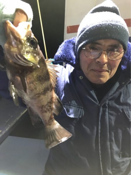 ヤザワ渡船 釣果