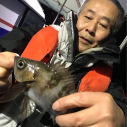 ヤザワ渡船 釣果