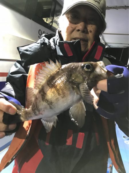 ヤザワ渡船 釣果