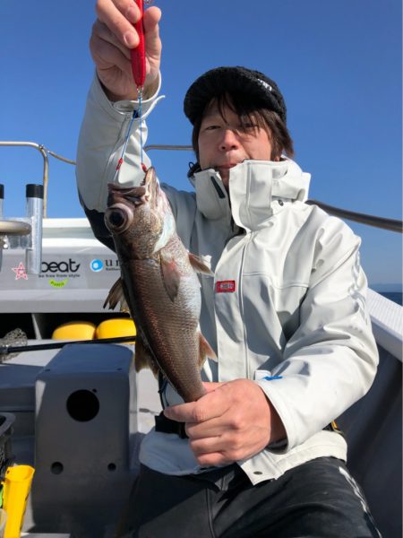 ＴＡＲＯＭＡＲＵ 釣果