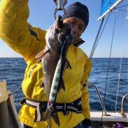 ＴＡＲＯＭＡＲＵ 釣果